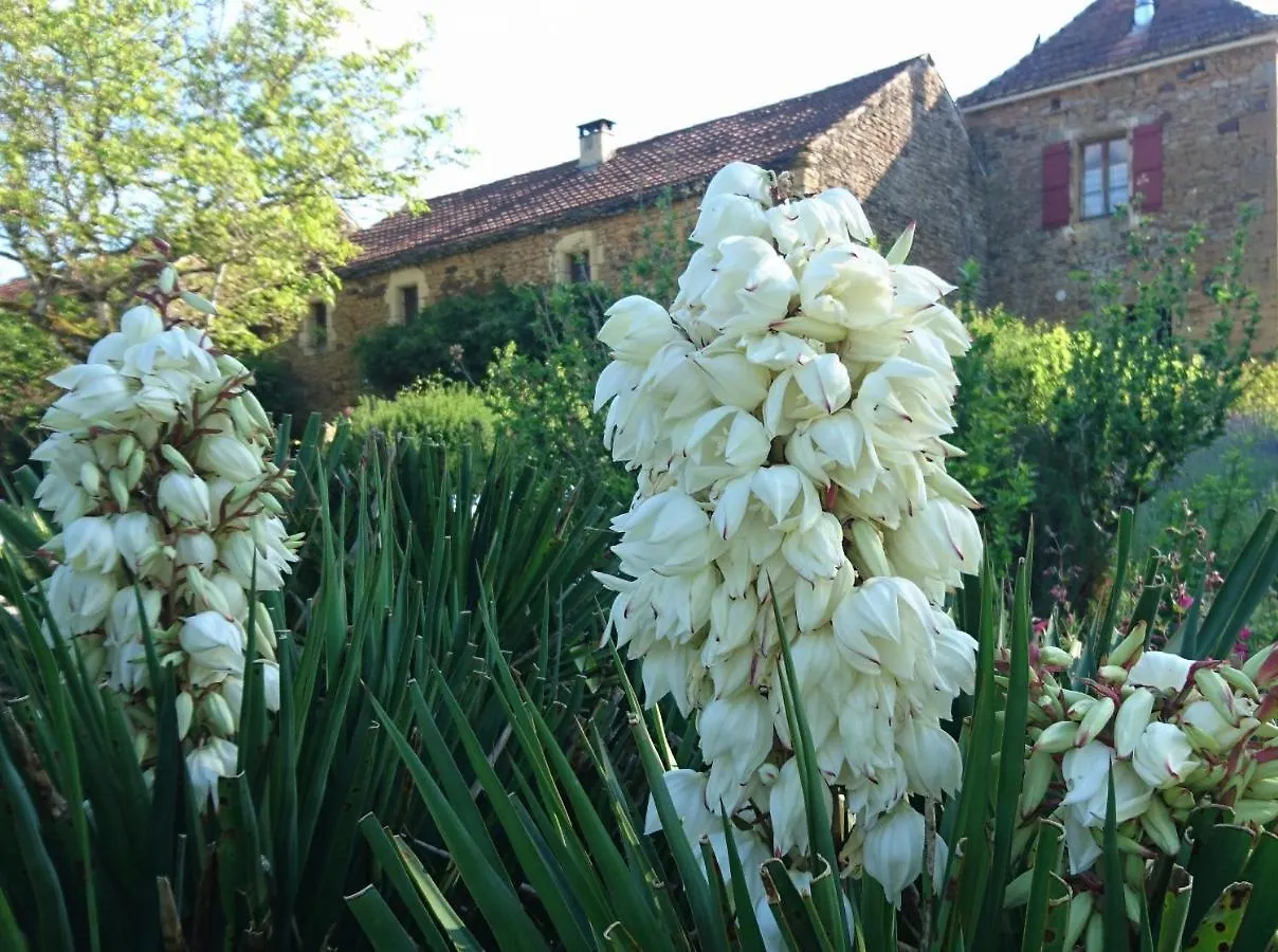 La Libellule And Le Papillon Gites At Les Leroux, Near Frayssinet-Le-Gelat France